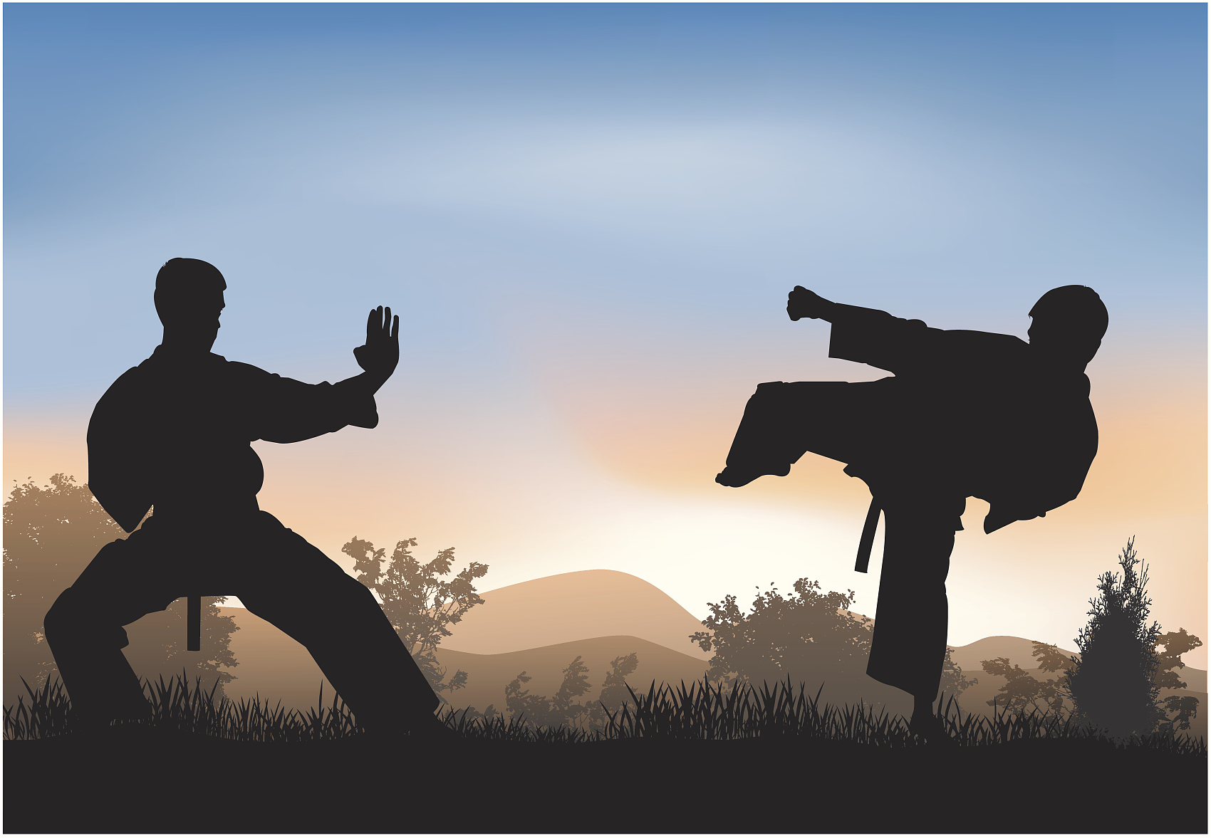VORTEILE DES KAMPFSPORTTRAININGS